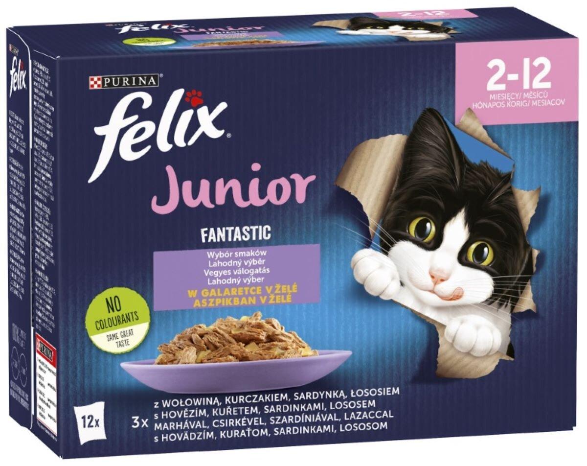 Karma dla kota Felix Fantastic Junior Mix smak&oacute;w w galaretce 12 x 85 g