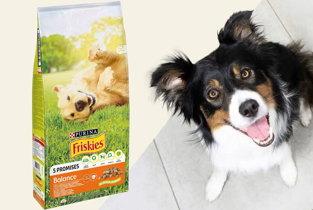 Karma dla psa FRISKIES Balance Kurczakiem z warzywami 15 kg sklad analiza