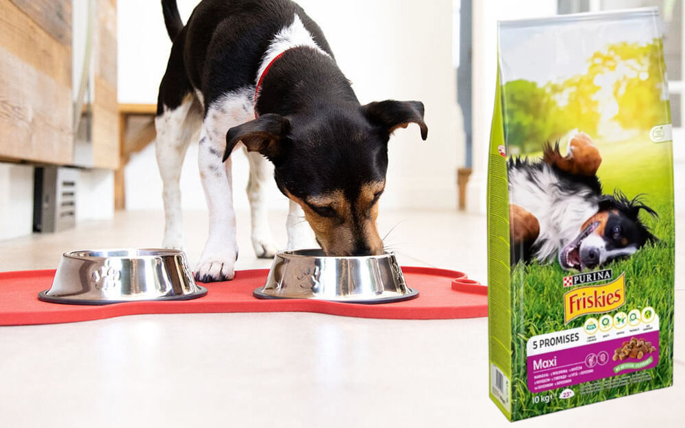 Karma dla psa FRISKIES Maxi Wołowina z warzywami 10 kg witaminy zdrowie
