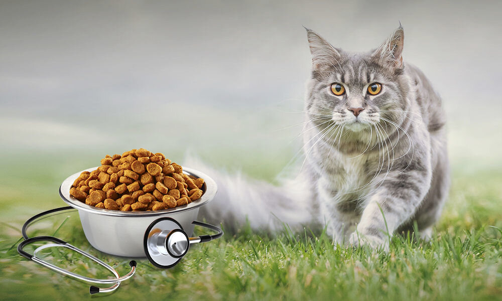 Karma dla kota FARMINA Vet Life Hepatic 2 kg witaminy pierwiastki aminokwasy