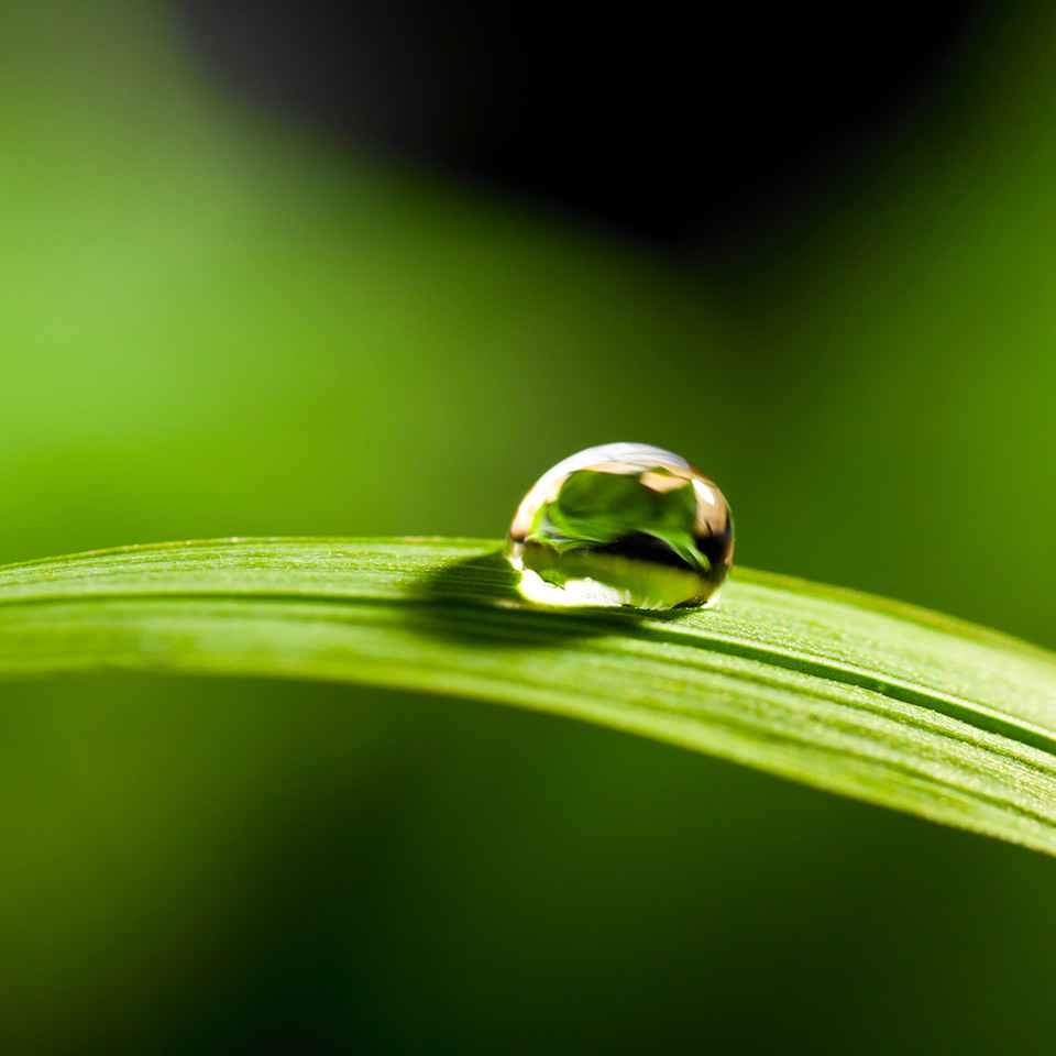 Naturalnie rozmyte tlo Naturalnie rozmyte tlo