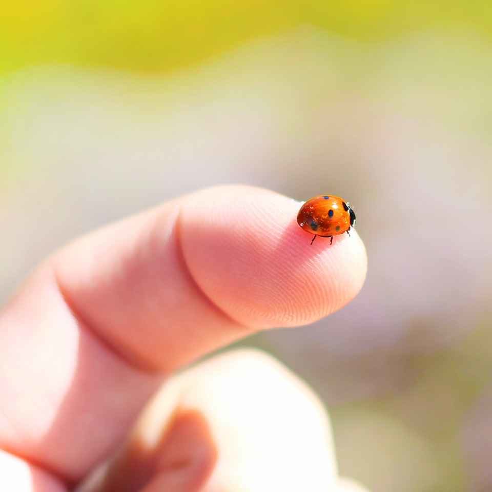 Male jest piekne Male jest piekne