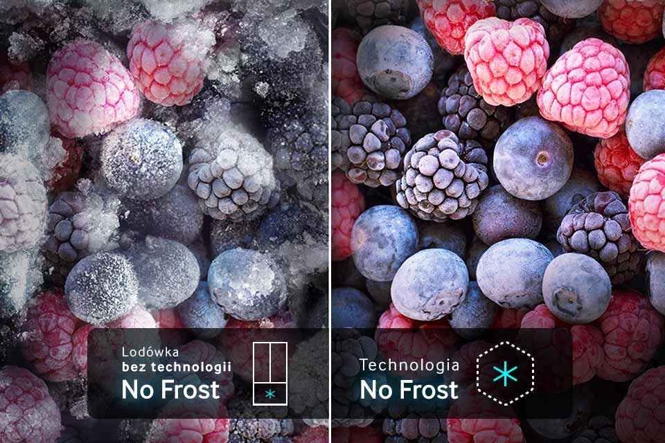 Technologia no frost zapobiega zbędnemu osadzaniu szronu i lodu na ściankach urządzenia i pokarmach Technologia no frost zapobiega zbędnemu osadzaniu szronu i lodu na ściankach urządzenia i pokarmach