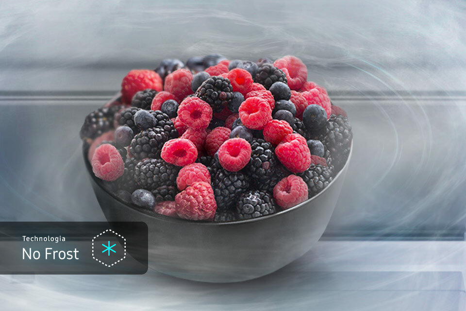 No Frost Lodówka bez szronu i lodu No Frost Lodówka bez szronu i lodu