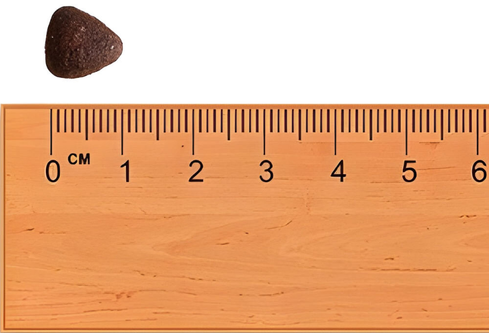 Karma dla psa FITMIN Purity Wołowina 800 g wielkość chrupki około 1 cm na miarce