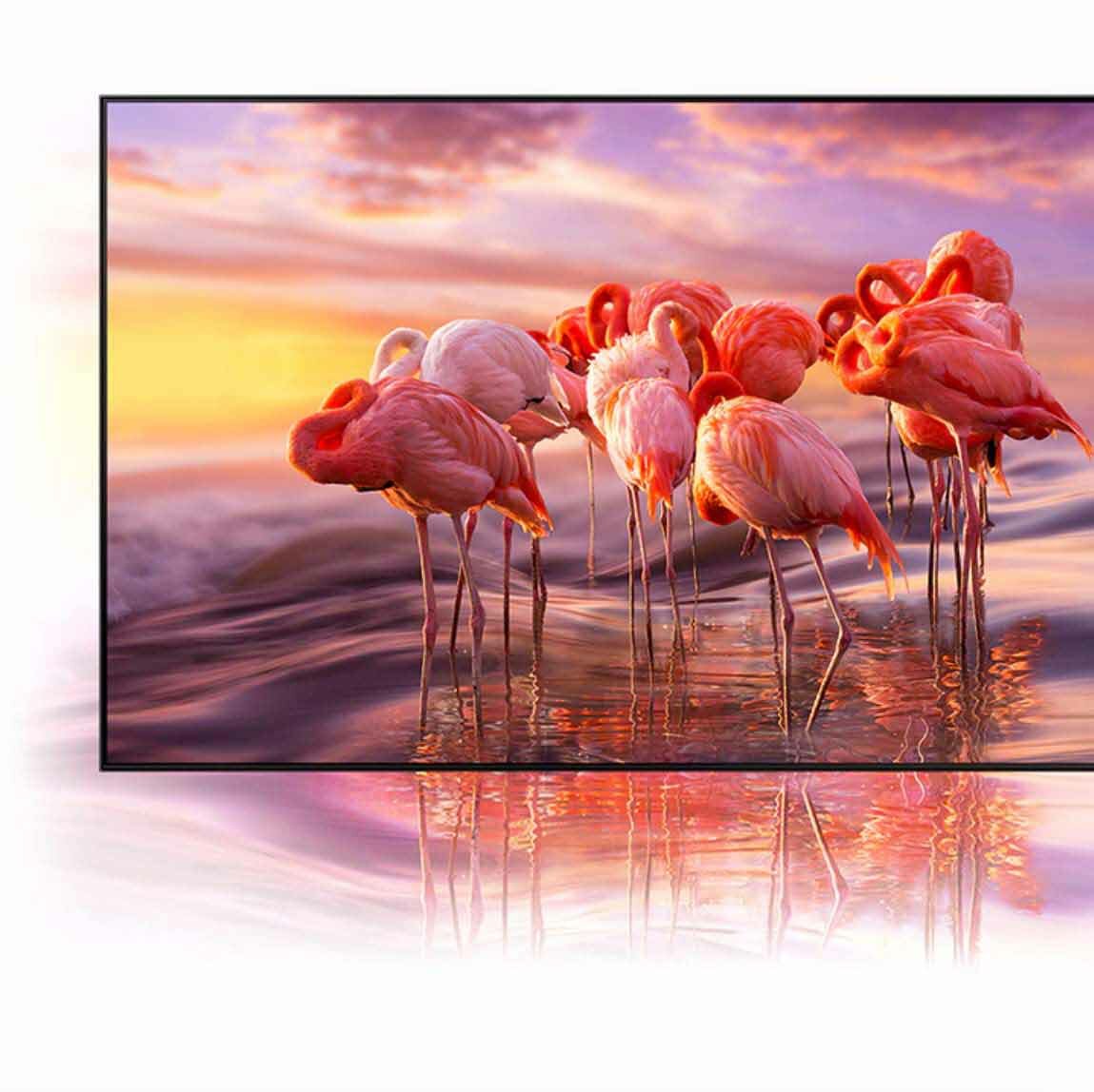 natezenie kolorow qn91a neo qled natezenie kolorow qn91a neo qled