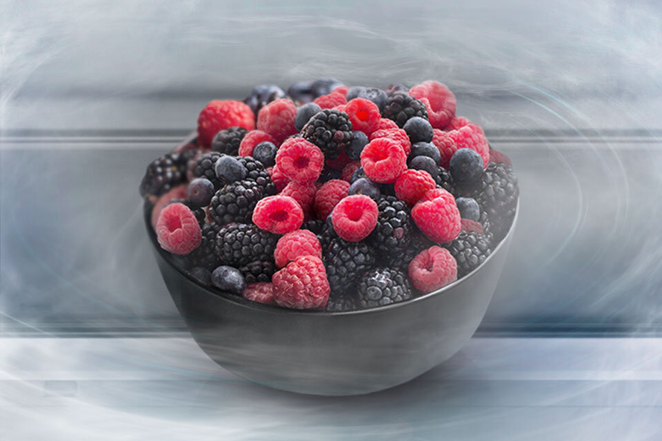 model bezszronowy model bezszronowy