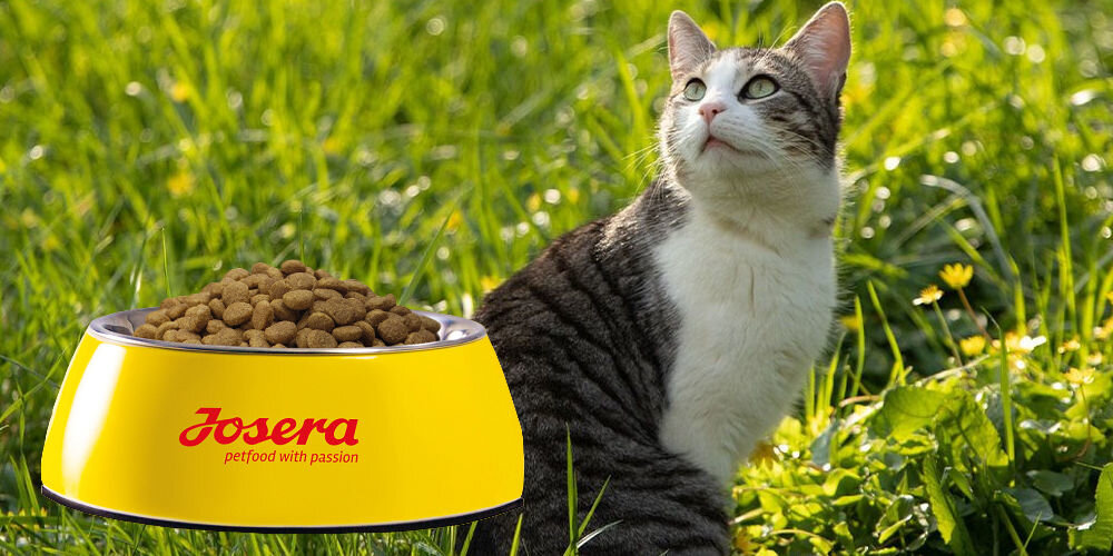 Karma dla kota JOSERA DailyCat Drób 400 g witaminy pierwiastki aminokwasy