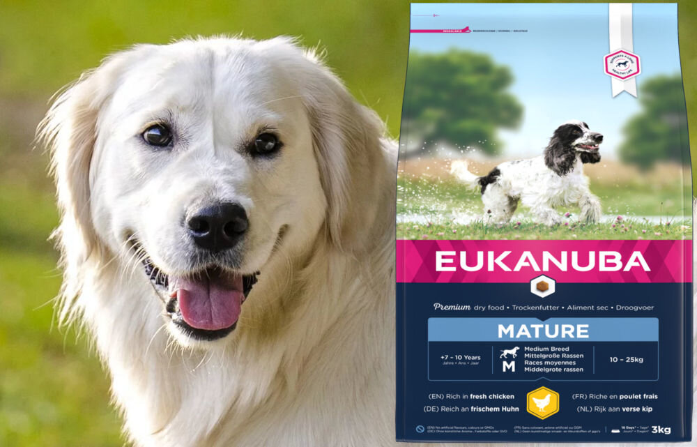 Karma dla psa EUKANUBA Mature Medium Breeds Kurczak 3 kg dawkowanie analiza sklad