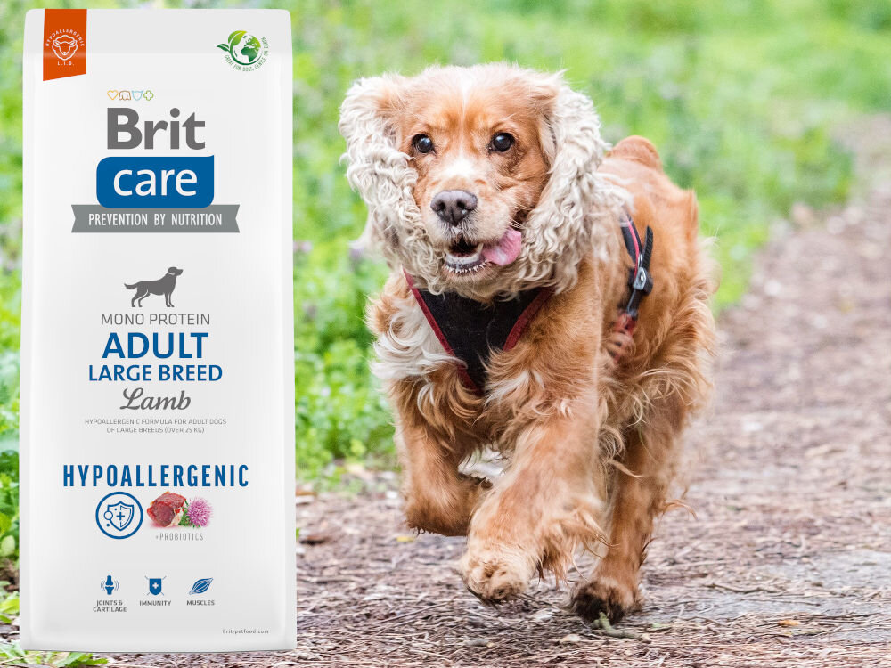 Karma dla psa BRIT CARE Hypoallergenic Jagnięcina z ryżem 1 kg dodatki analiza