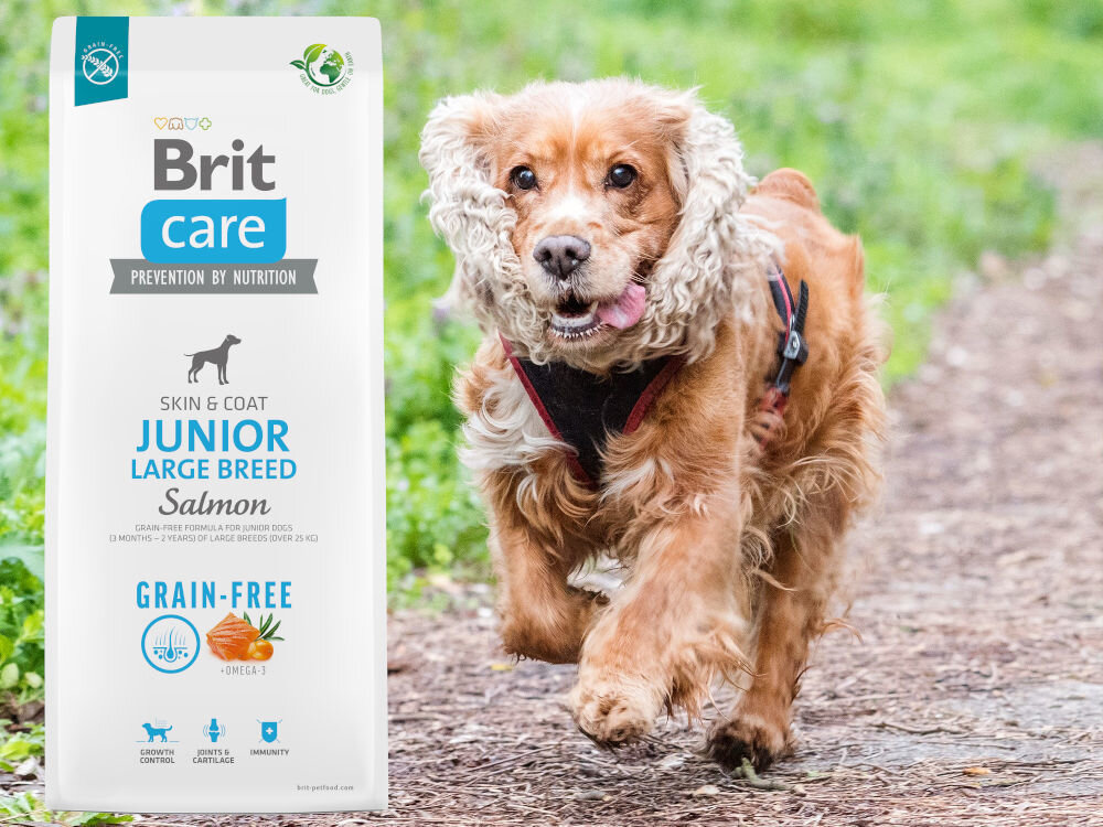 Karma dla psa BRIT CARE Dog Grain-Free Junior Large Breed Łosoś i ziemniaki 1 kg dodatki analiza