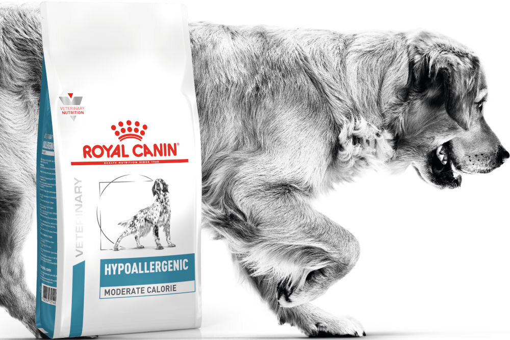 Karma dla psa ROYAL CANIN Hypoallergenic Moderate Calorie 1,5 kg dawkowanie analiza sklad