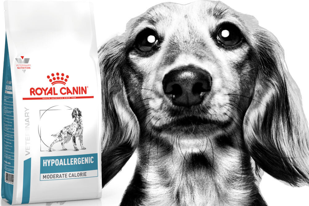 Karma dla psa ROYAL CANIN Hypoallergenic Moderate Calorie 1,5 kg witaminy pierwiastki aminokwasy