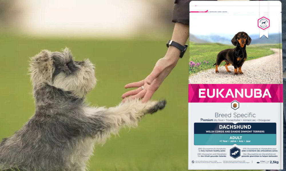 Karma dla psa EUKANUBA Adult Breed Specific Kurczak 2,5 kg dawkowanie analiza sklad