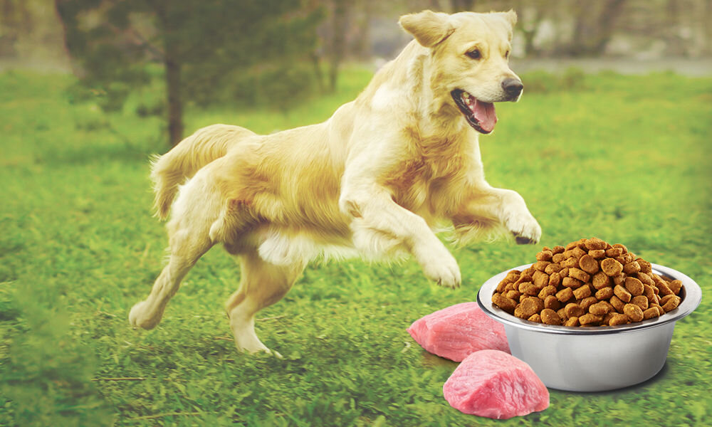 Karma dla psa FARMINA N&D Prime Kurczak i owoc granatu Puppy Mini 2,5 kg witaminy pierwiastki aminokwasy