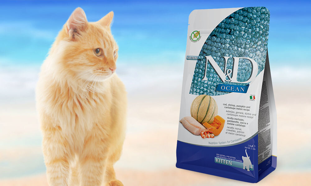 Karma dla kota FARMINA N&D Ocean Dorsz, krewetka, dynia i melon 300 g dawkowanie analiza sklad