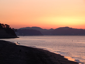 Matryca CMOS w technologii BSI o rozdzielczości 16 mln pikseli