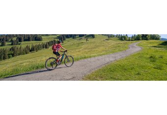 Ranking rowerów elektrycznych trekkingowych [TOP10]