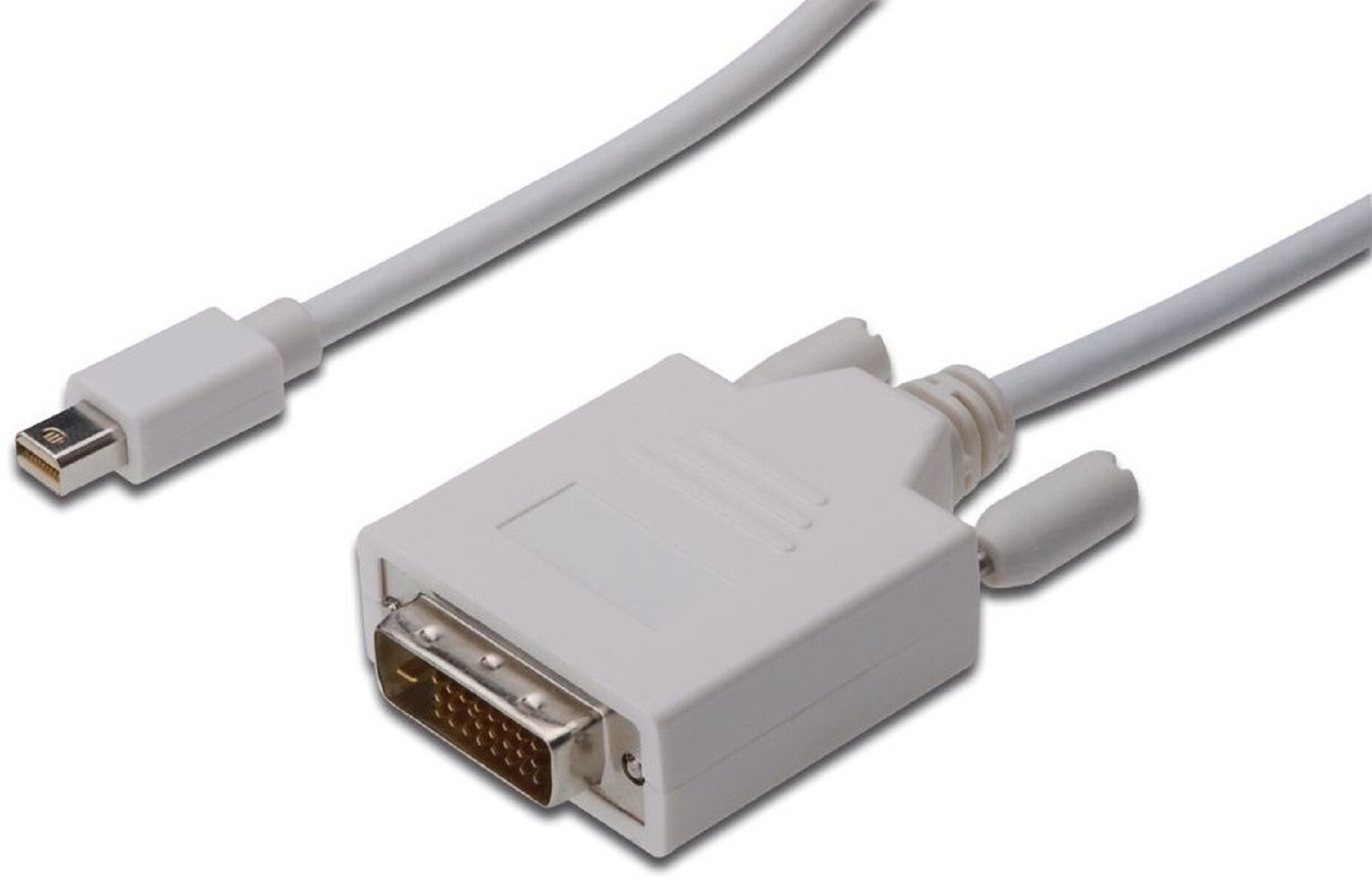 ASSMANN 2 m Kabel Mini DisplayPort - DVI - niskie ceny i opinie w Media  Expert