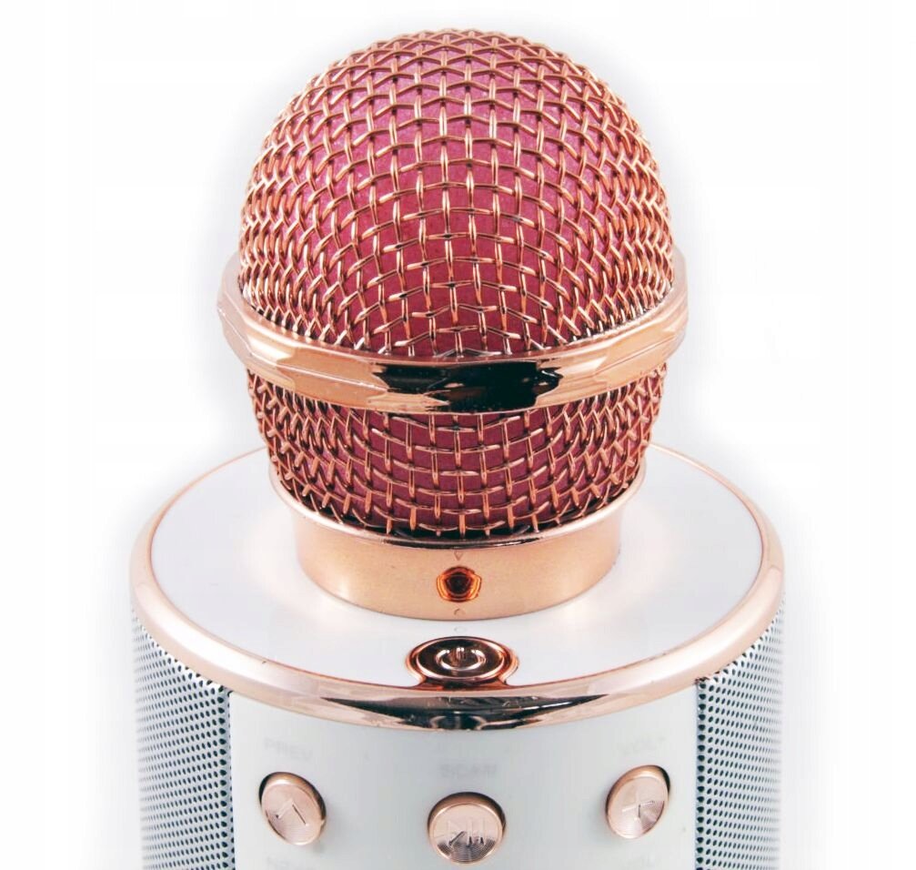 XREC WS858 Mikrofon - niskie ceny i opinie w Media Expert