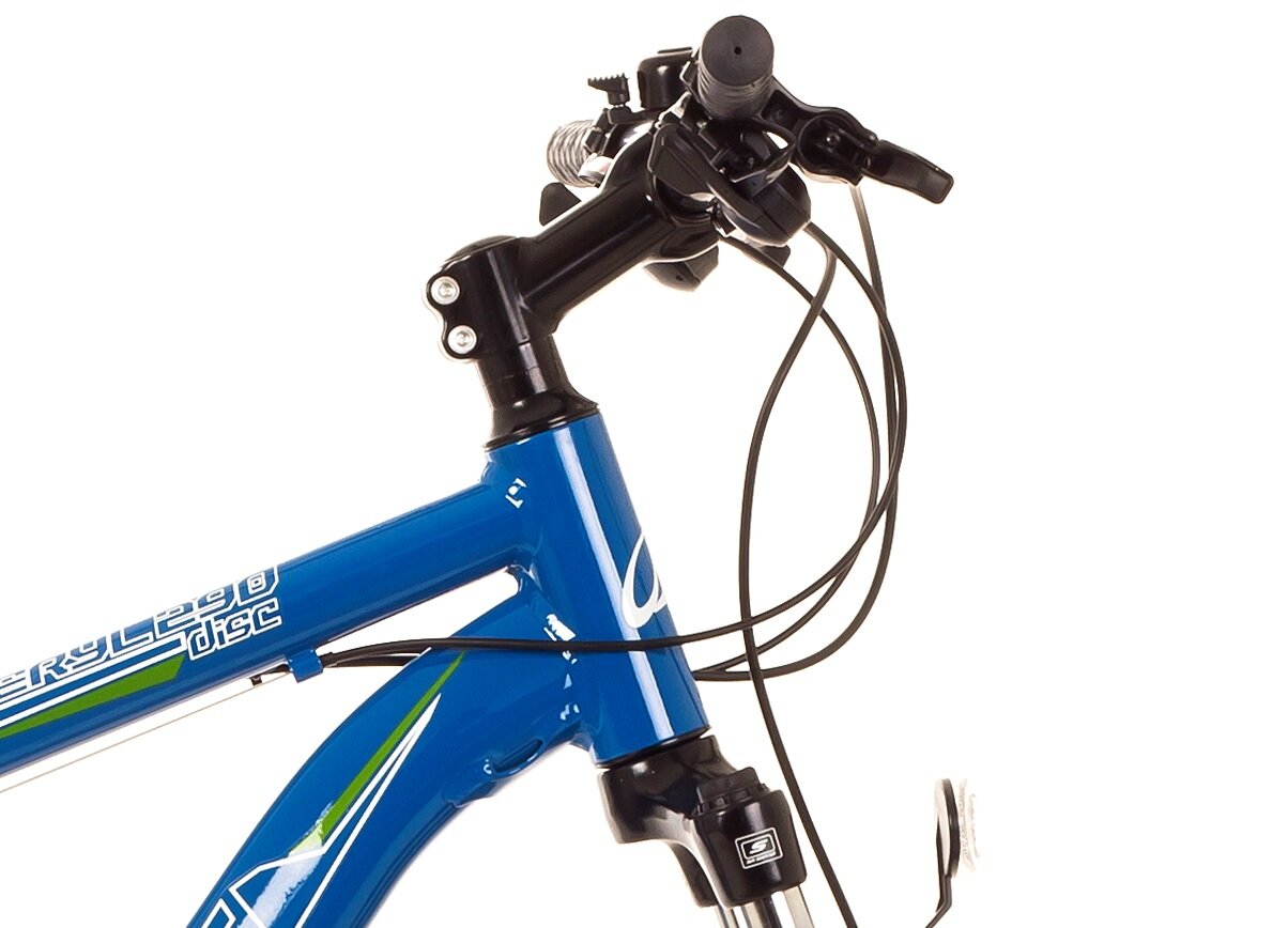 ARKUS Beryl 290 Disc M19 Niebieski Rower - niskie ceny i opinie w Media  Expert